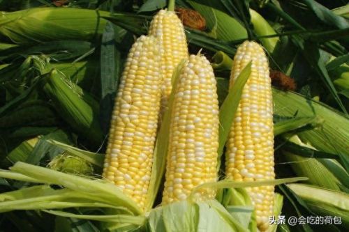 最长寿的十大食物排行榜(三种人最长寿)插图4