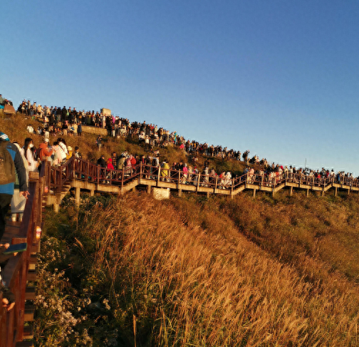 苏州恐怖景点排名前十(苏州十大良心景区免费)插图11 苏州恐怖景点排名前十(苏州十大良心景区免费)插图11