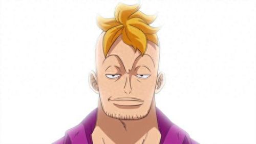 海贼王十大智将排行榜(海贼王里最强的十个中将)插图8