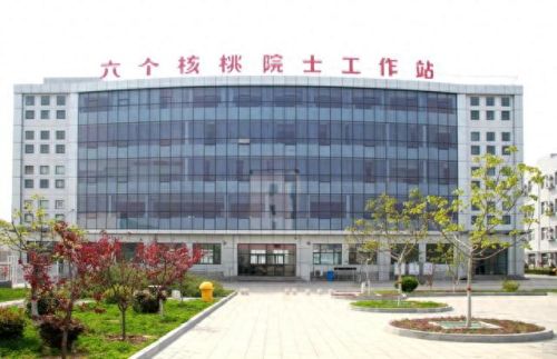 核桃乳品牌十大排行榜(核桃乳哪个牌子最好用)插图1