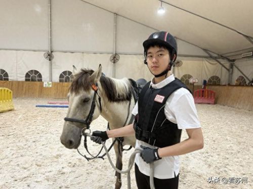 夜生活十大项目排行榜(休闲项目排行榜)插图4