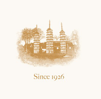 十大真丝内衣品牌排行榜图片(真丝内衣七分袖打底衫)插图4