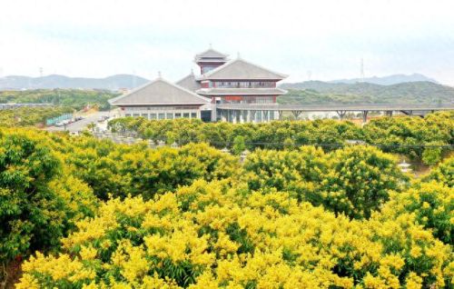 广东自驾必去十大排行榜(广东十大温泉排名)插图3