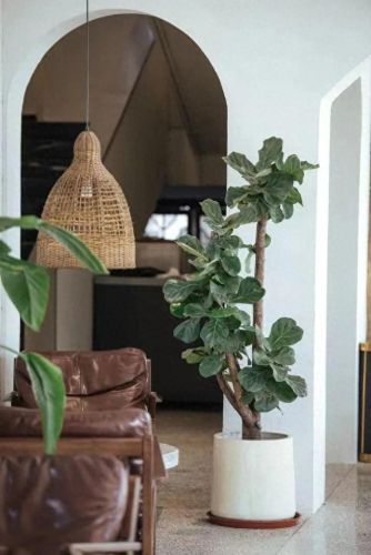 山东住宿基地排名前十(山东最大的宿舍区)插图32 山东住宿基地排名前十(山东最大的宿舍区)插图32