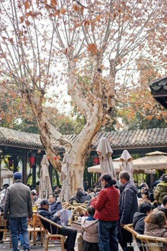 成都私密酒馆排名前十(杭州私密酒馆)插图20 成都私密酒馆排名前十(杭州私密酒馆)插图20