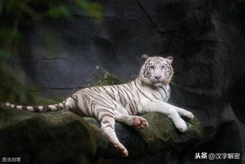 十大神兽排行榜谁第一(招财的十大神兽)插图6