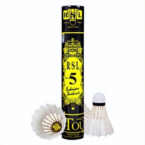 中国羽毛球十大品牌排行榜(羽毛球鞋推荐公认神鞋)插图1