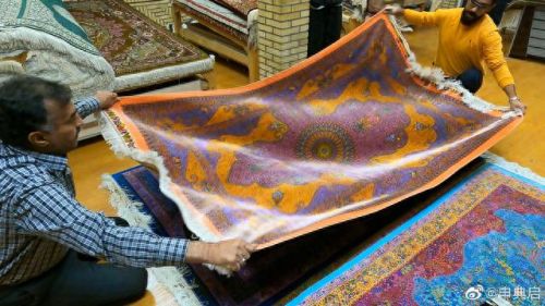 伊朗蚕丝产量排名前十(蚕丝最贵的品种)插图10