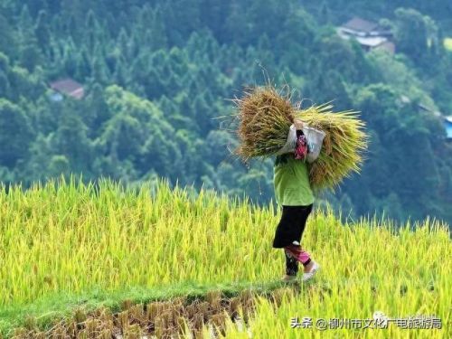 柳州十大摄影师排行榜图片(柳州全家福摄影前十名)插图16