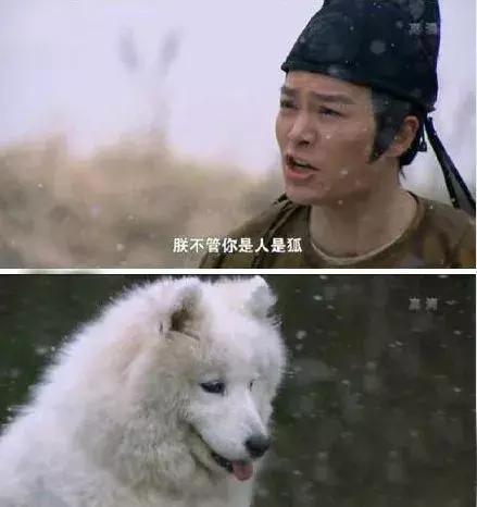 十大奇怪电视剧推荐排行榜(奇怪电视剧)插图7