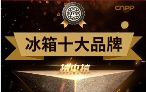 国内十大名牌冰箱排行榜1(十大品种冰箱排名)插图1
