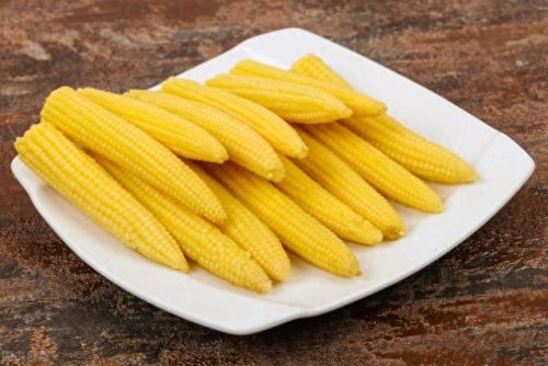 中国玉米产地十大排行榜(中国玉米种子十大品牌)插图2