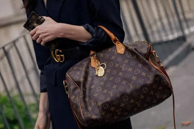 十大名牌女包排行榜图片(十大女包品牌排名)插图25