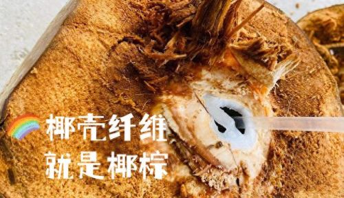 棕垫床垫十大排行榜(为什么不建议使用棕垫)插图2