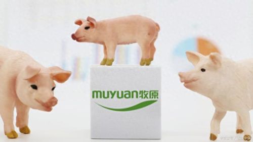 十大有钱的老板排行榜最新(合浦山口永安最有钱的老板)插图8