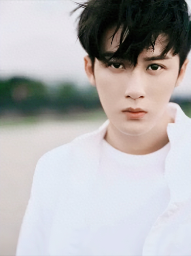 很火的十大男明星排行榜(中国最火的十大男明星)插图