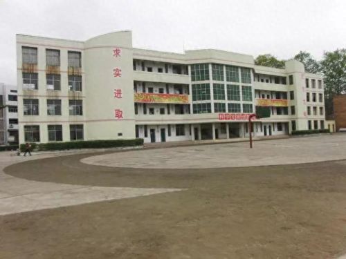 合川排名前十的小学(合川前十名小学)插图31 合川排名前十的小学(合川前十名小学)插图31