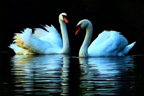 南沙亲子乐园十大排行榜(南沙最大的儿童乐园)插图6