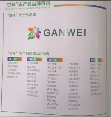 国内十大黄芪品牌排行榜最新(黄芪仙鹤草的十大功效)插图9