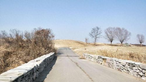 西安遛狗公司排名前十(西安遛狗事件最新消息)插图12 西安遛狗公司排名前十(西安遛狗事件最新消息)插图12