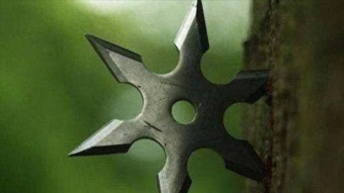 中国暗器武器排名前十(中国十大暗器有哪些)插图13