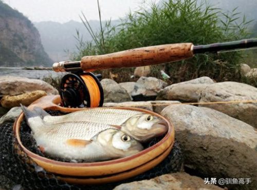 山西钓鱼品种排名前十(山西运城钓鱼的水库)插图18 山西钓鱼品种排名前十(山西运城钓鱼的水库)插图18