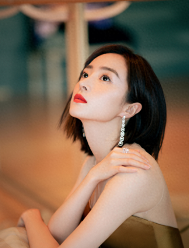 十大不火女明星排行榜(十大毁容明星)