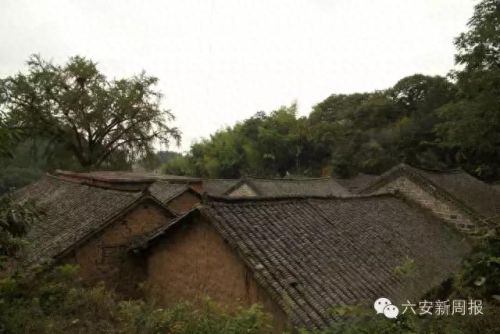 江北旅游村庄排名前十(宁波江北洪塘最大的村庄)插图17 江北旅游村庄排名前十(宁波江北洪塘最大的村庄)插图17
