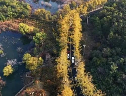 北京远郊餐厅排名前十(北京北部高端餐厅)插图1 北京远郊餐厅排名前十(北京北部高端餐厅)插图1