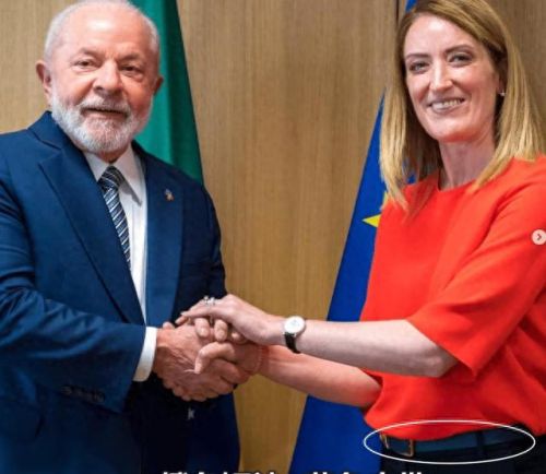 欧洲议会大臣排名前十(欧洲议会女议员完整版)插图17 欧洲议会大臣排名前十(欧洲议会女议员完整版)插图17