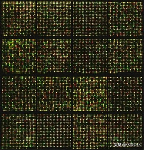 化学终极产物排名前十(糖基化终极产物75%严重吗)插图5 化学终极产物排名前十(糖基化终极产物75%严重吗)插图5