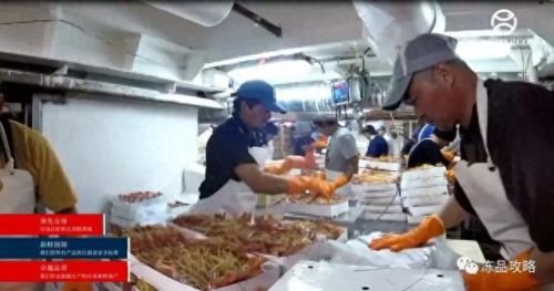 冻品虾十大品牌排行榜图片(冻品虾)插图2 冻品虾十大品牌排行榜图片(冻品虾)插图2