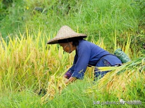 柳州十大摄影师排行榜图片(柳州全家福摄影前十名)插图17