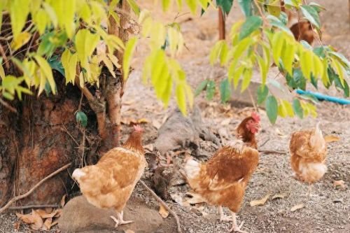 曼谷安全酒店排名前十(泡泡玛特曼谷开业)插图31 曼谷安全酒店排名前十(泡泡玛特曼谷开业)插图31