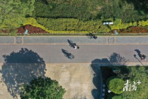 佛山单车公司排名前十(佛山哪里收二手单车)插图2 佛山单车公司排名前十(佛山哪里收二手单车)插图2