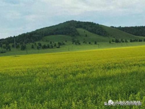 渭南草原面积排名前十(渭南城区面积多大)插图1 渭南草原面积排名前十(渭南城区面积多大)插图1