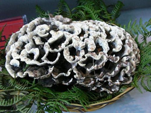 云南菜十大美食排行榜最新(云南的特色菜排名)插图5