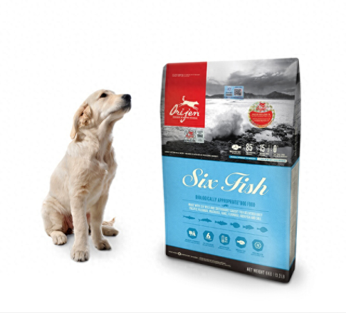 十大最爱吃的狗粮排行榜(抖音狗粮排行榜)插图1