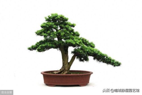 益胶泥十大牌子排行榜图片(胶泥十大品牌多少一包)插图6