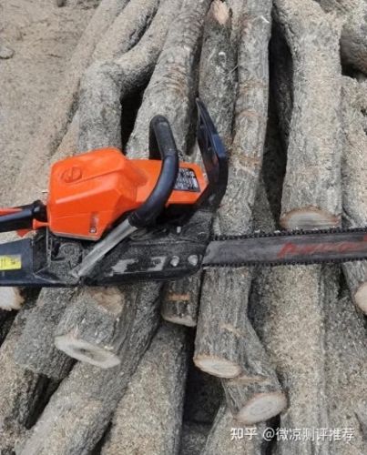 油镐十大排行榜品牌(油锯十大品牌排名)插图6