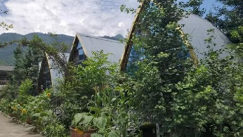 德阳别墅名宿排名前十(德阳最好的民宿排名)插图20 德阳别墅名宿排名前十(德阳最好的民宿排名)插图20