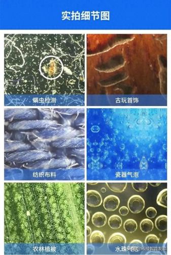 手机显微镜十大品牌排行榜(高端显微镜十大品牌)插图14