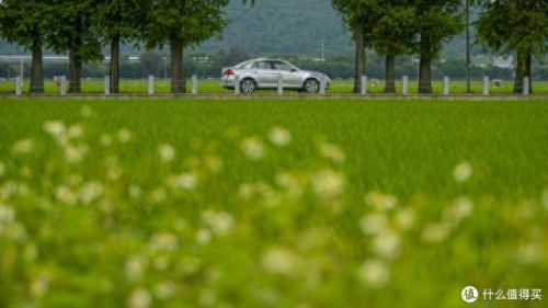 全画幅相机十大排行榜(十款最好全画幅相机)插图5