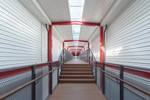 山西肉鸽销量排名前十(大熊养殖肉鸽)插图25 山西肉鸽销量排名前十(大熊养殖肉鸽)插图25