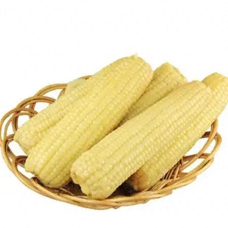 中国玉米产地十大排行榜(中国玉米种子十大品牌)插图3