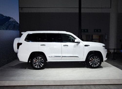 十大最不耐用车排行榜北京(中国最差的汽车排名)插图3