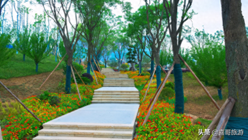 合川推荐景点排名前十(重庆合川景点排行榜)插图6 合川推荐景点排名前十(重庆合川景点排行榜)插图6