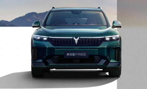 十大新势力车企排行榜(中国十大车企排名最新)插图7