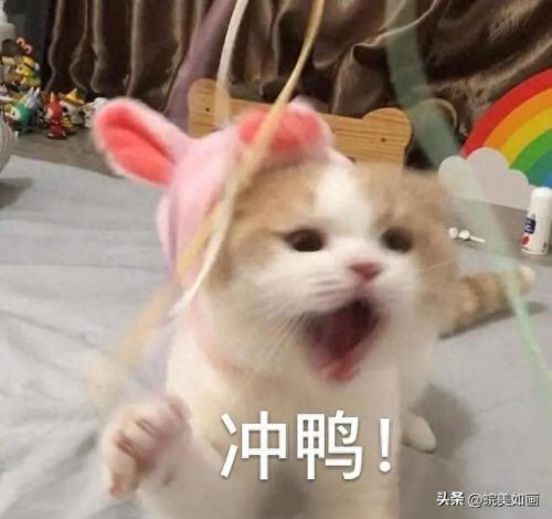 合肥高端洗浴排名前十(合肥近期洗浴扫黄事件)插图