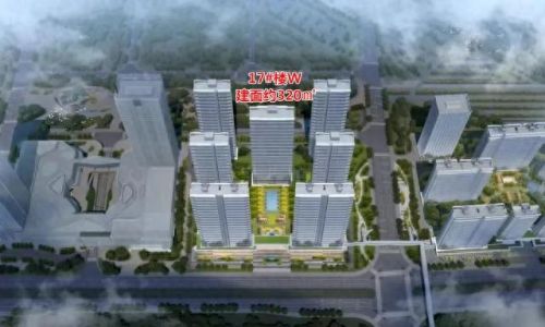 国风顶级豪宅排名前十(重庆香港置地国风豪宅)插图5